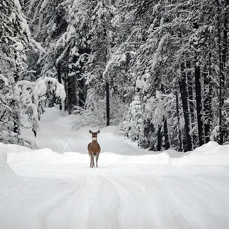 Logis Beau Sejour 3*